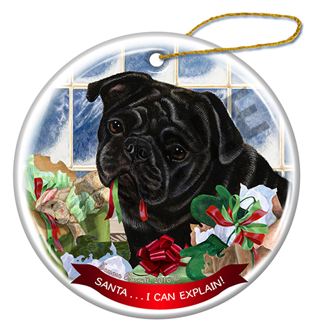 Santa I Can Explain Ornaments