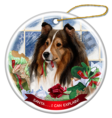 Santa I Can Explain Ornaments