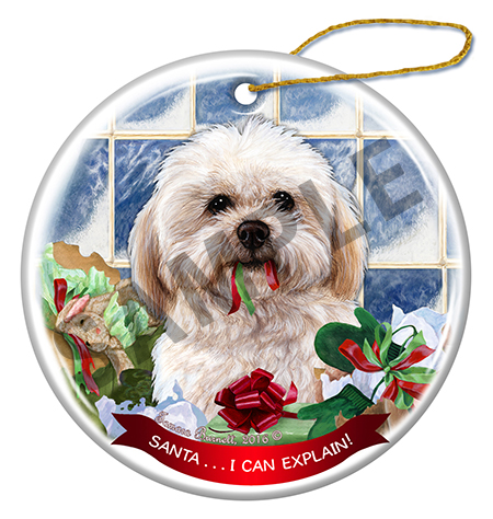 Shipoo Cream - Santa I Can Explain Ornament Image