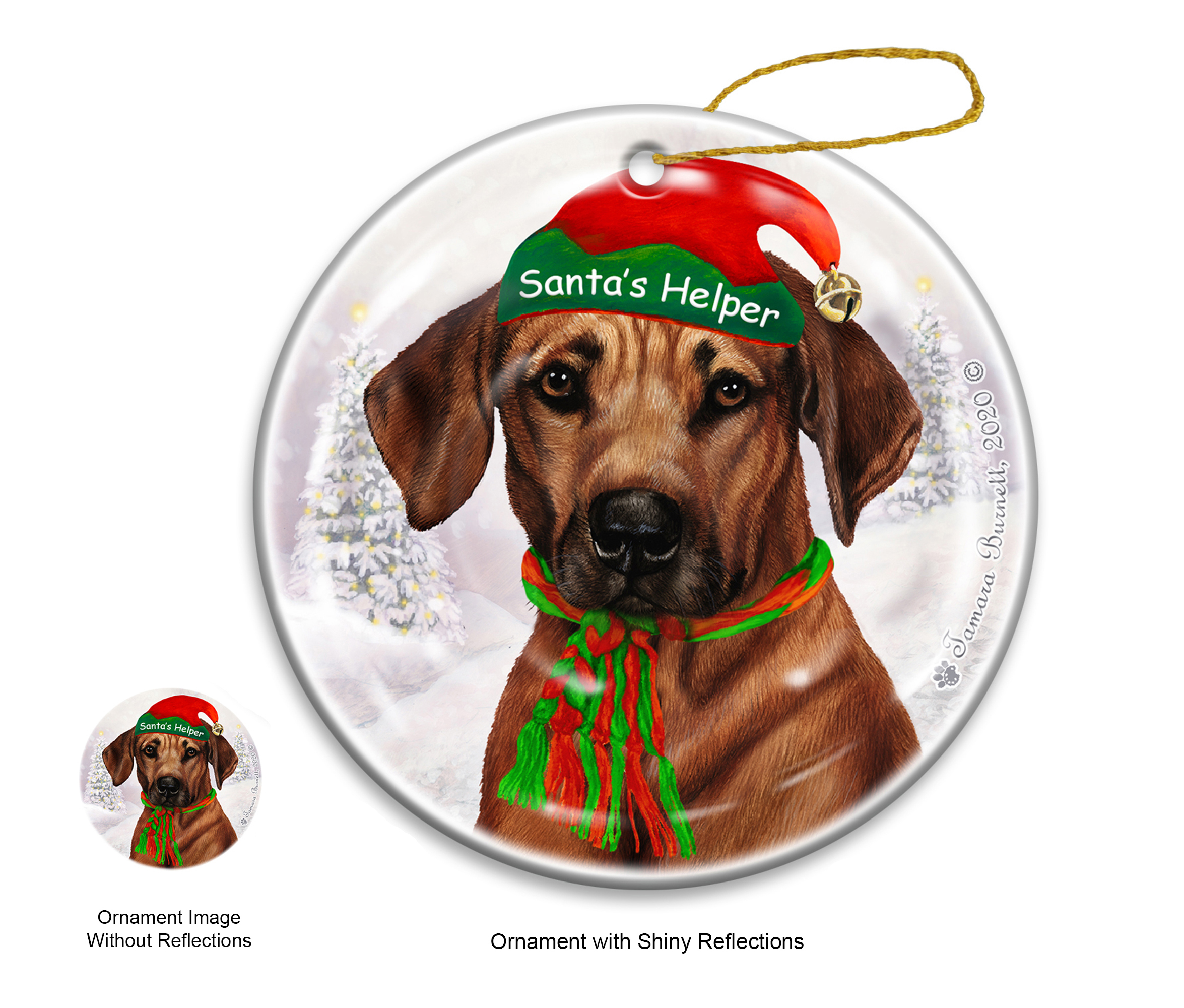 Rhodesian Ridgeback - Santa's Helper Ornament image