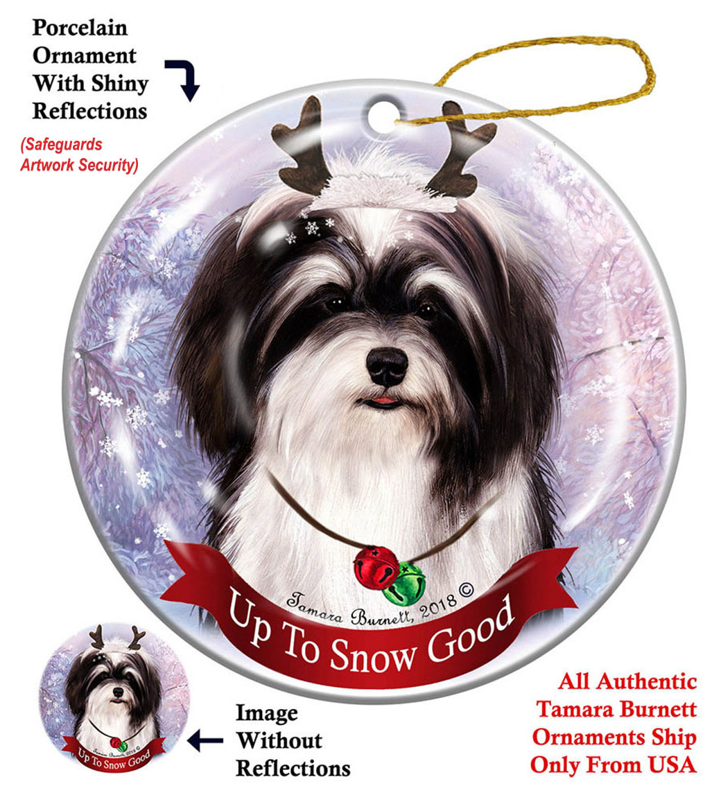 Havanese Black/White - Up To Snow Good Ornament Image