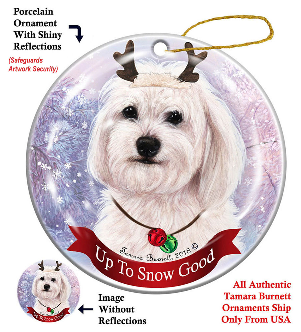 Havanese White - Up To Snow Good Ornament Image