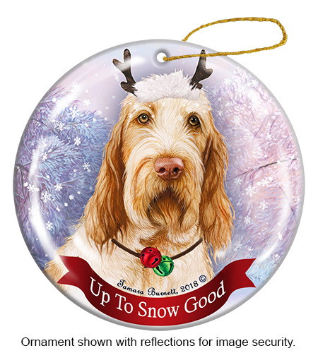 Spinone Italiano Orange and White - Up To Snow Good Ornament Image