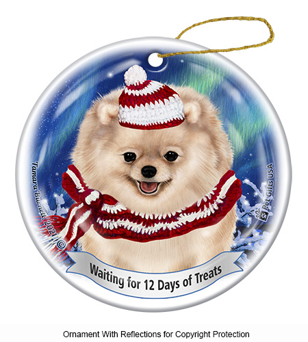 Pomeranian Cream Series 5 Christmas Ornament image