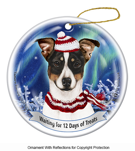 Twelve Days Of Treats Christmas Ornaments