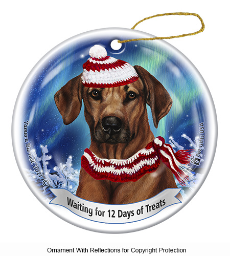 Rhodesian Ridgeback Series 5 Christmas Ornament image