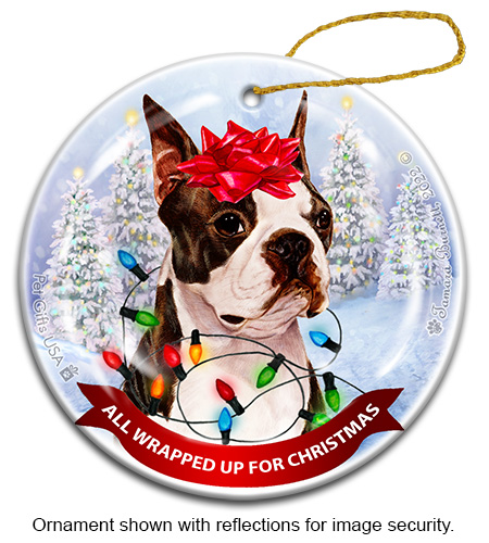 Boston Brindle and White All Wrapped Up Ornament image