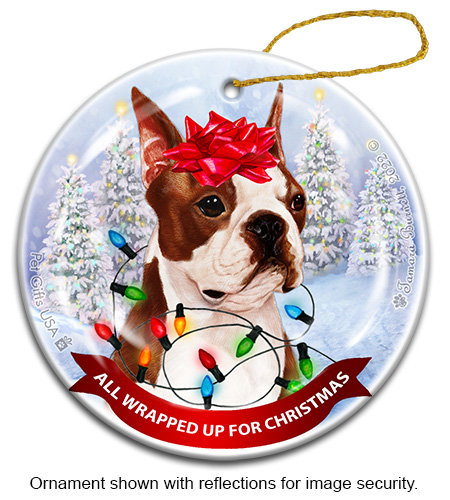 Boston Red and White All Wrapped Up Ornament image