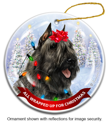 All Wrapped Up Ornaments sample image