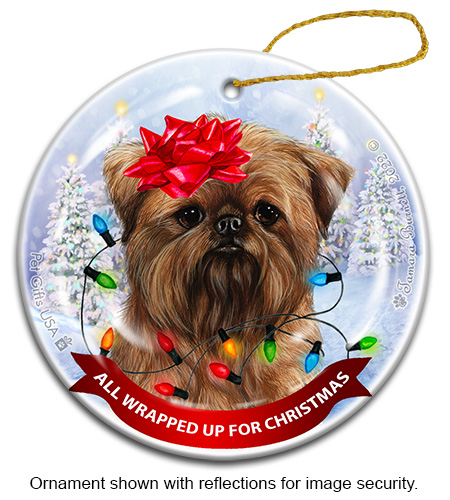 Brussels Griffon Brown All Wrapped Up Ornament image
