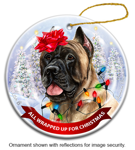 Ornaments sample image