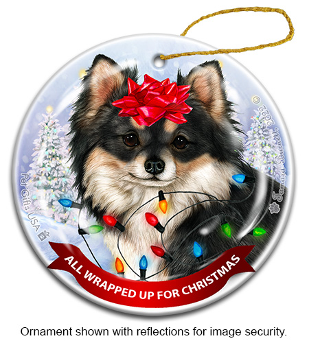Chihuahua Long Hair Tri Color All Wrapped Up Ornament image