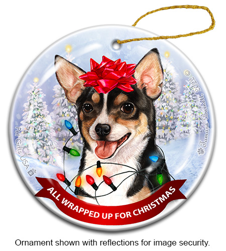 Chihuahua Short Hair Tri Color All Wrapped Up Ornament image