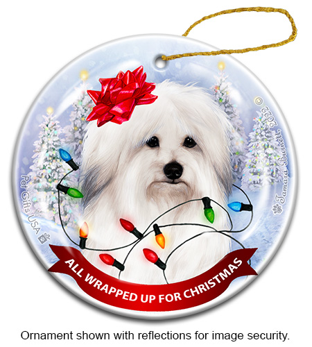 Coton De Tulear All Wrapped Up Ornament image