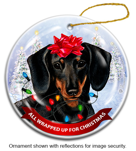 Dachshund Short Hair Black & Tan All Wrapped Up Ornament Image