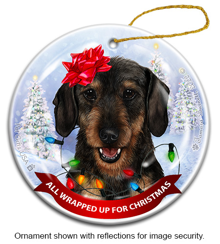 Dachshund Wire Hair Black & Tan All Wrapped Up Ornament image