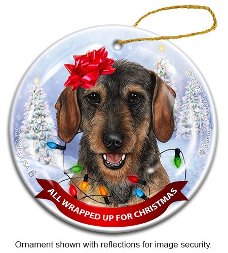Dachshund Wire Hair Wild Boar All Wrapped Up Ornament image