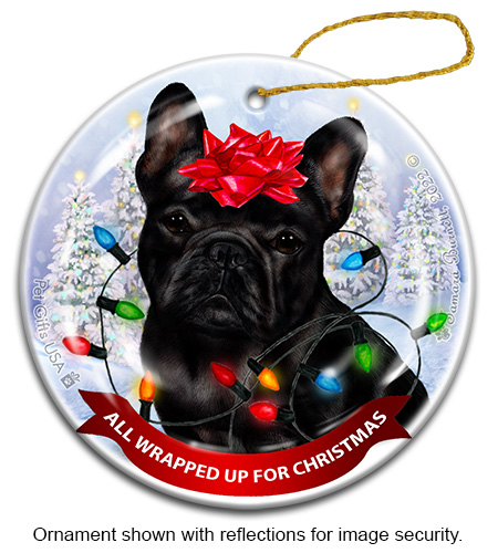 All Wrapped Up Ornaments sample image