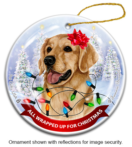Golden Retriever All Wrapped Up Ornament Image