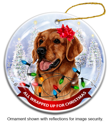 Golden Retriever Red All Wrapped Up Ornament image