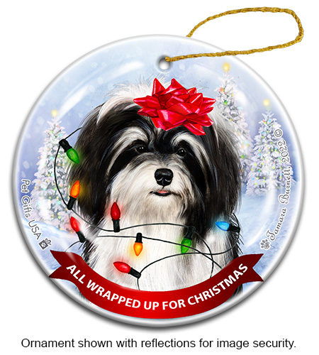 Havanese Black & White All Wrapped Up Ornament image