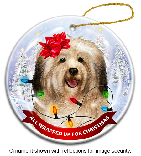 Havanese Cream All Wrapped Up Ornament image