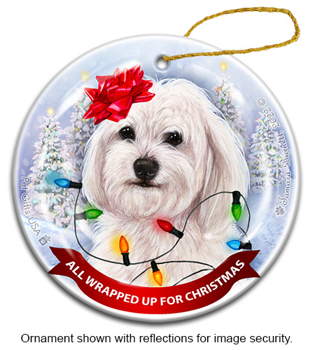Havanese White All Wrapped Up Ornament image