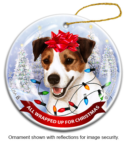 All Wrapped Up Ornaments