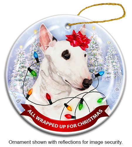 Bull Terrier Mini White All Wrapped Up Ornament Image