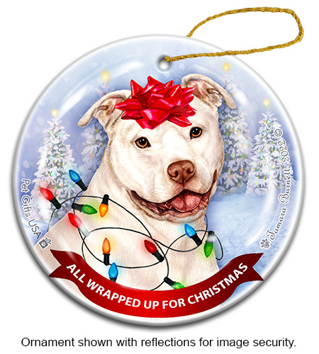 All Wrapped Up Ornaments sample image