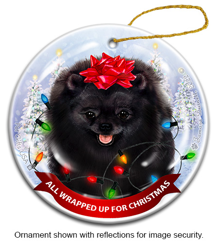 Pomeranian Black All Wrapped Up Ornament Image
