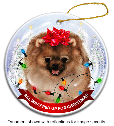 Pomeranian Fawn All Wrapped Up Ornament Image