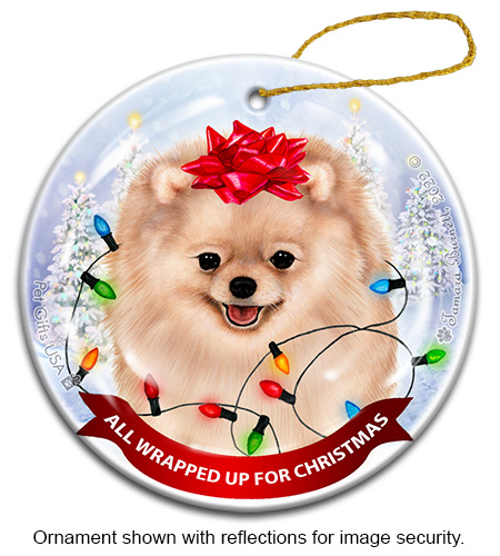 Pomeranian Cream All Wrapped Up Ornament image
