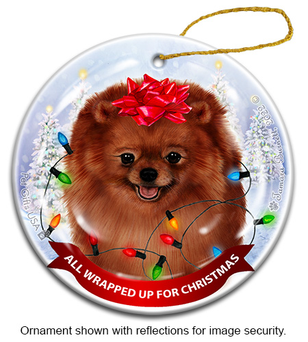Pomeranian Red All Wrapped Up Ornament image