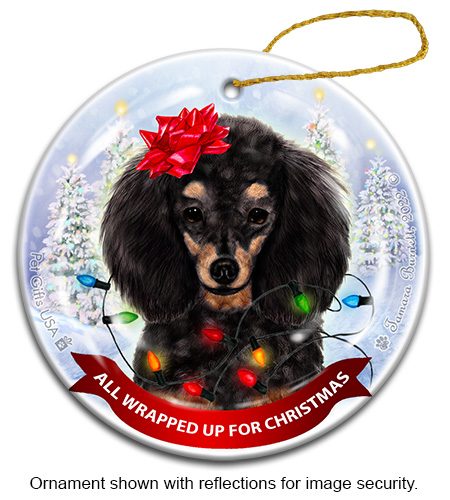 Ornaments sample image