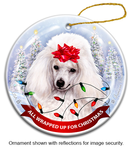 All Wrapped Up Ornaments