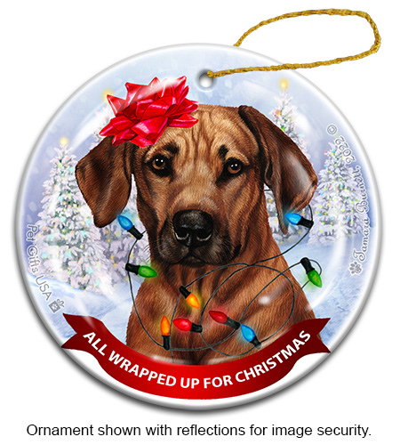 Rhodesian Ridgeback All Wrapped Up Ornament image