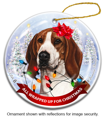 Coonhound Treeing Walker All Wrapped Up Ornament image