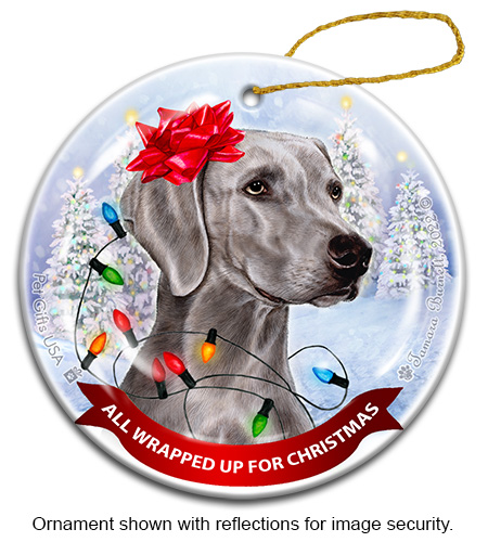 All Wrapped Up Ornaments sample image