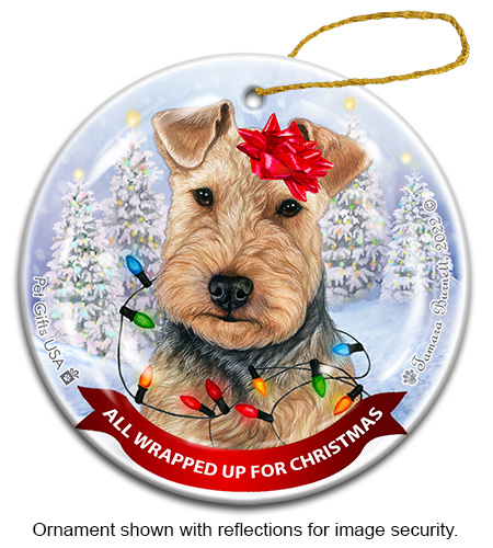 All Wrapped Up Ornaments
