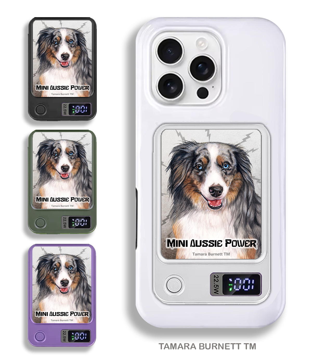 American Shepherd Blue Merle (Aussie Mini) - Phone Bank image