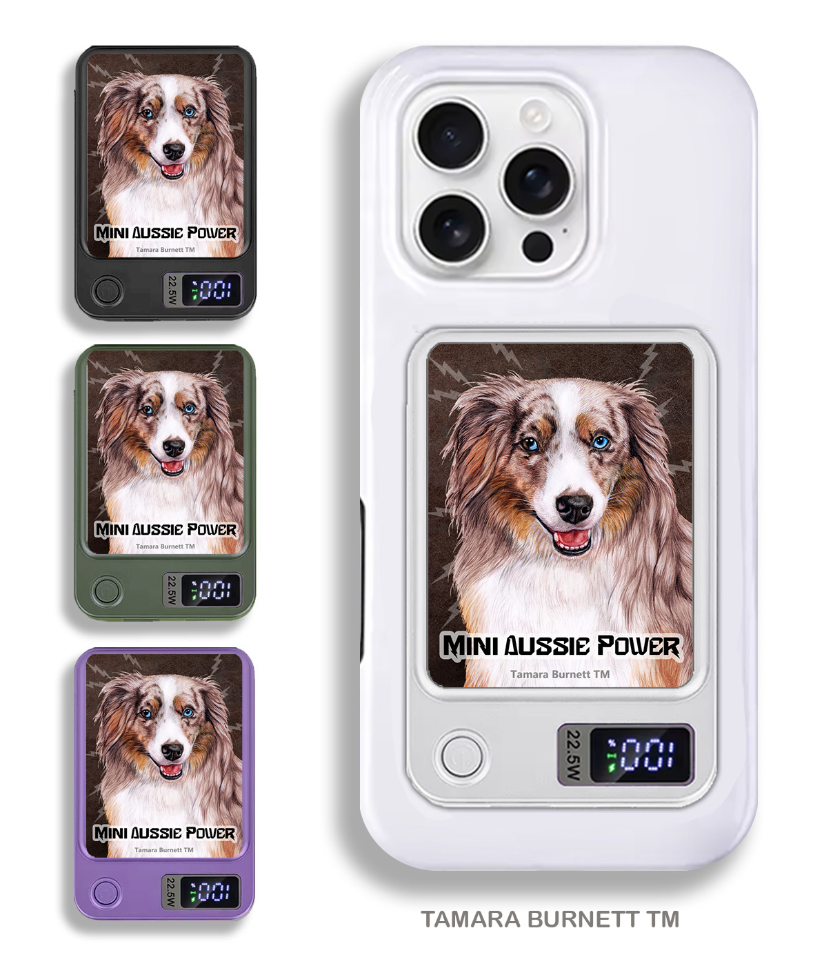 American Shepherd Red Merle (Aussie Mini) - Phone Bank image