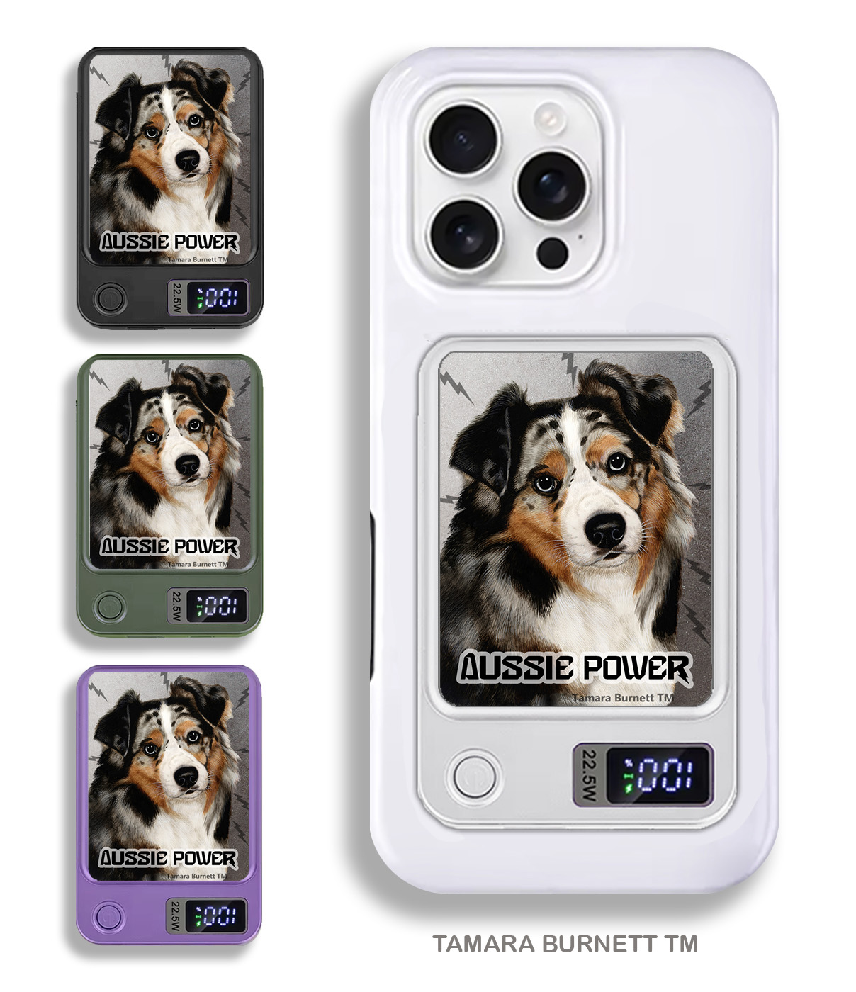 Australian Shepherd Blue Merle - Phone Bank image