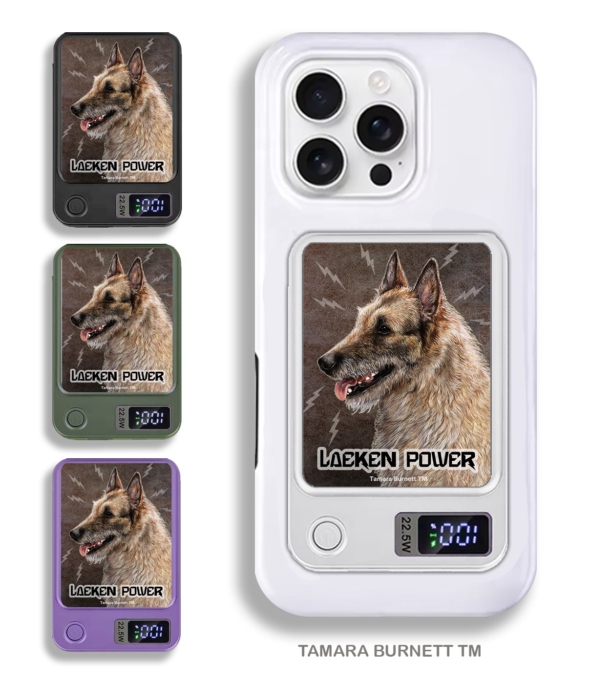 An image of product 33636 - Belgian Laekenois - Phone Bank