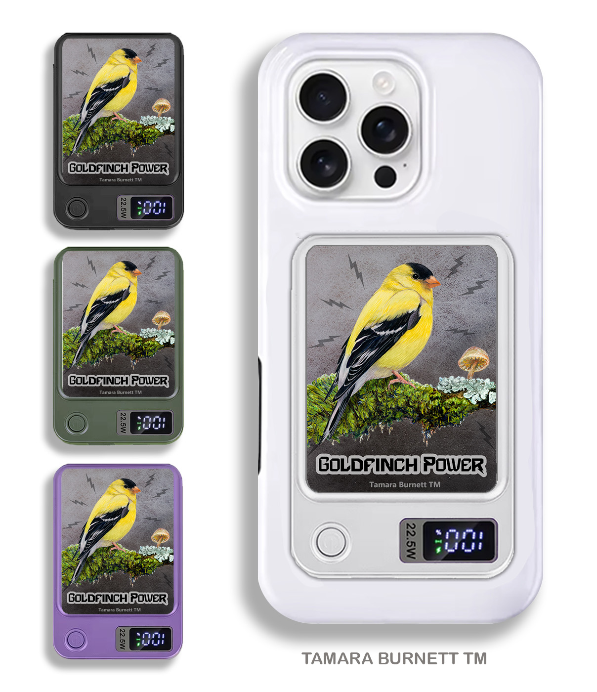 Goldfinch American - Phone Bank image Goldfinch American - Phone Bank image