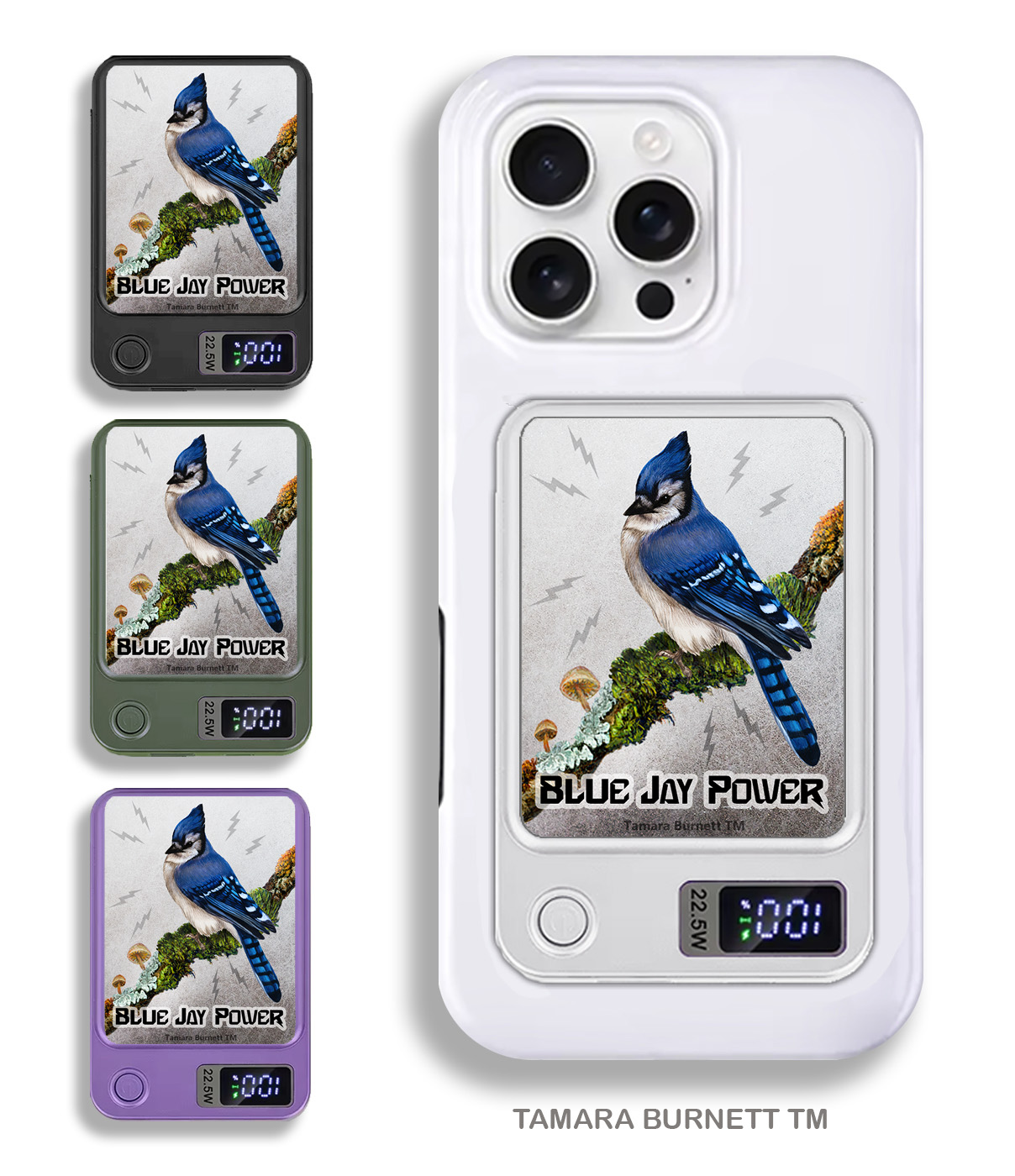 An image of product 33513 - Blue Jay Eastern - Phone Bank