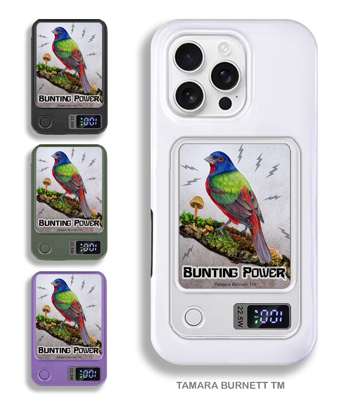 Painted Bunting - Phone Bank image Painted Bunting - Phone Bank image