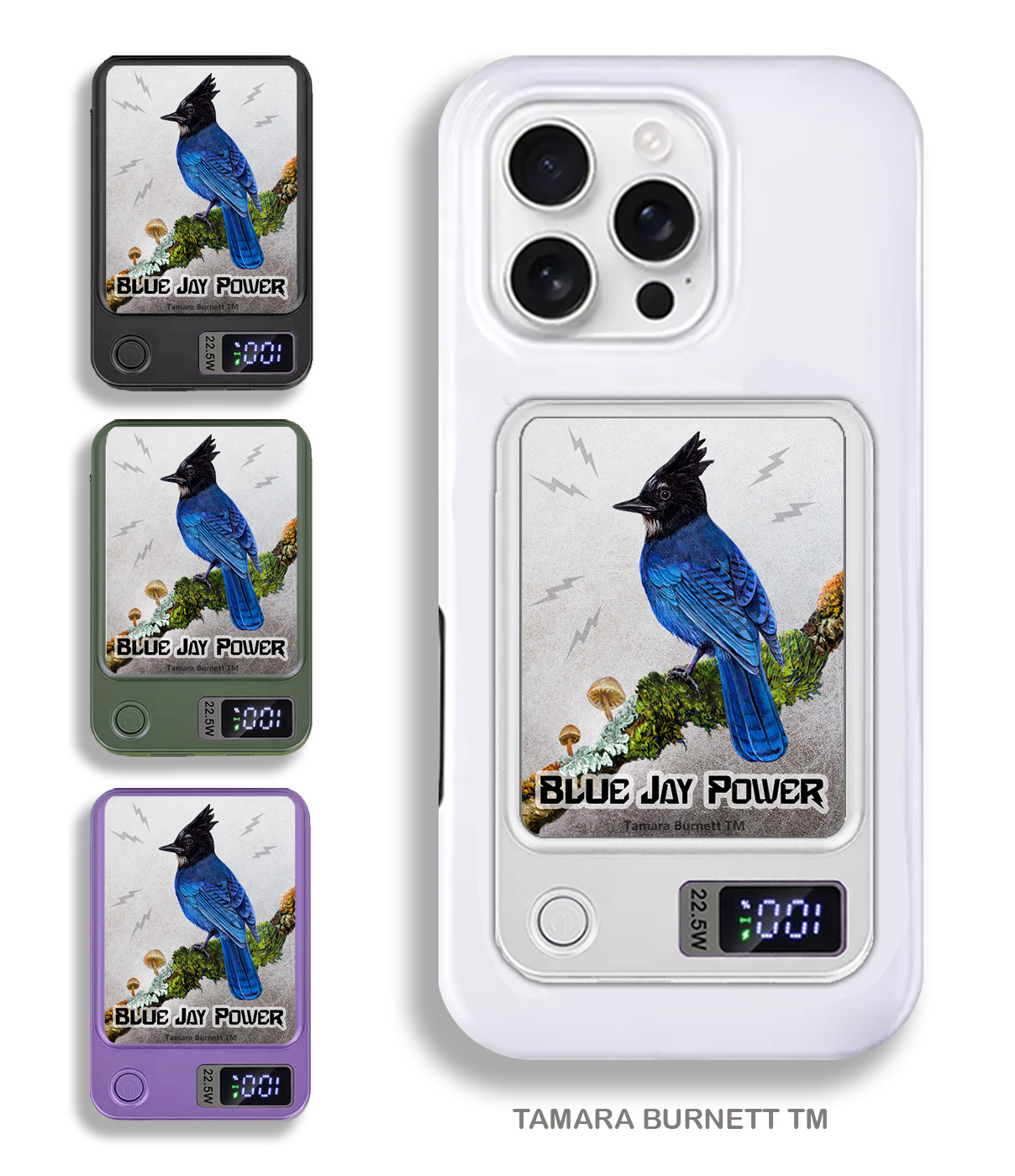Steller's Jay - Phone Bank image Steller's Jay - Phone Bank image
