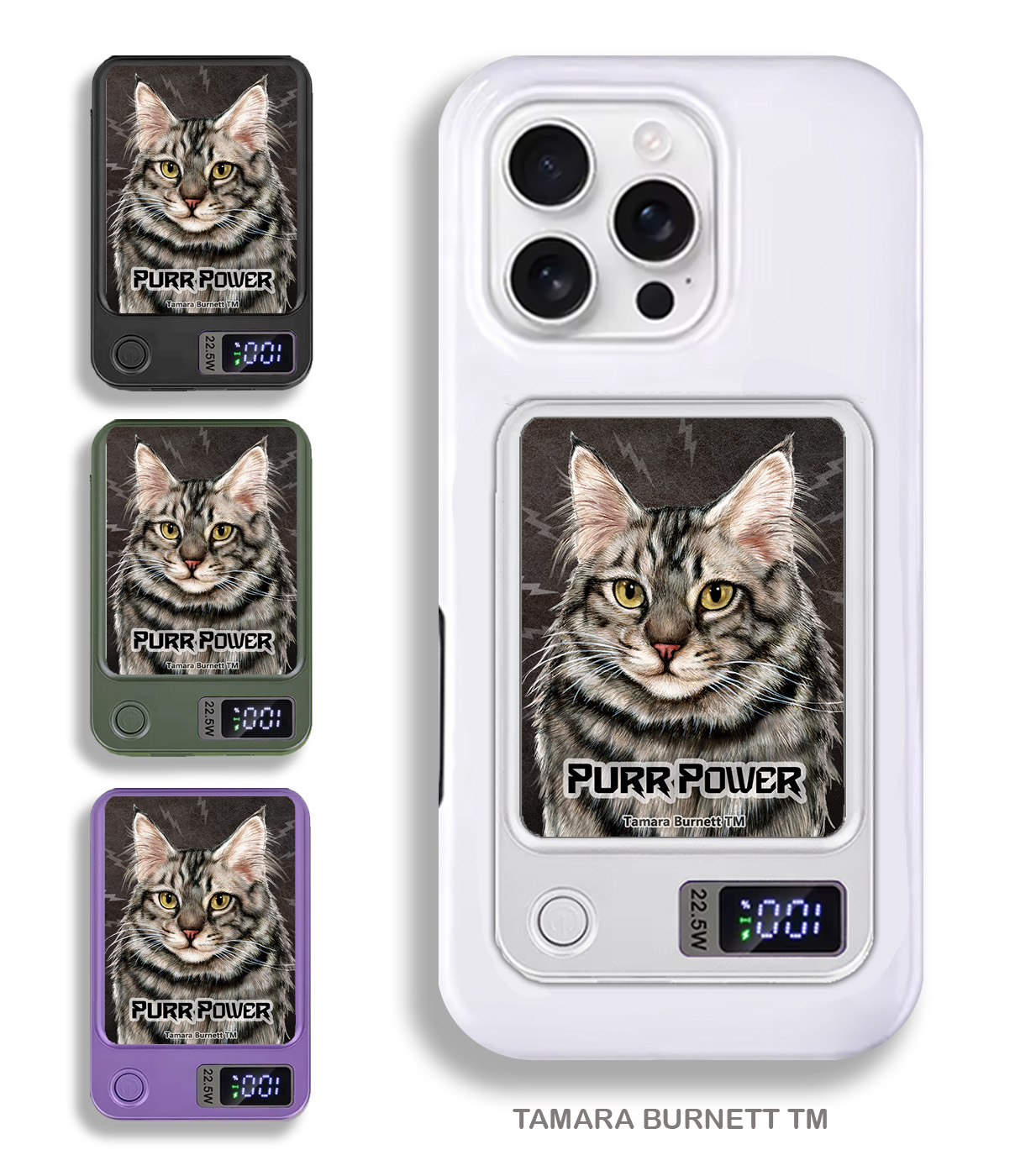 Maine Coon Silver Tabby - Phone Bank image Maine Coon Silver Tabby - Phone Bank image
