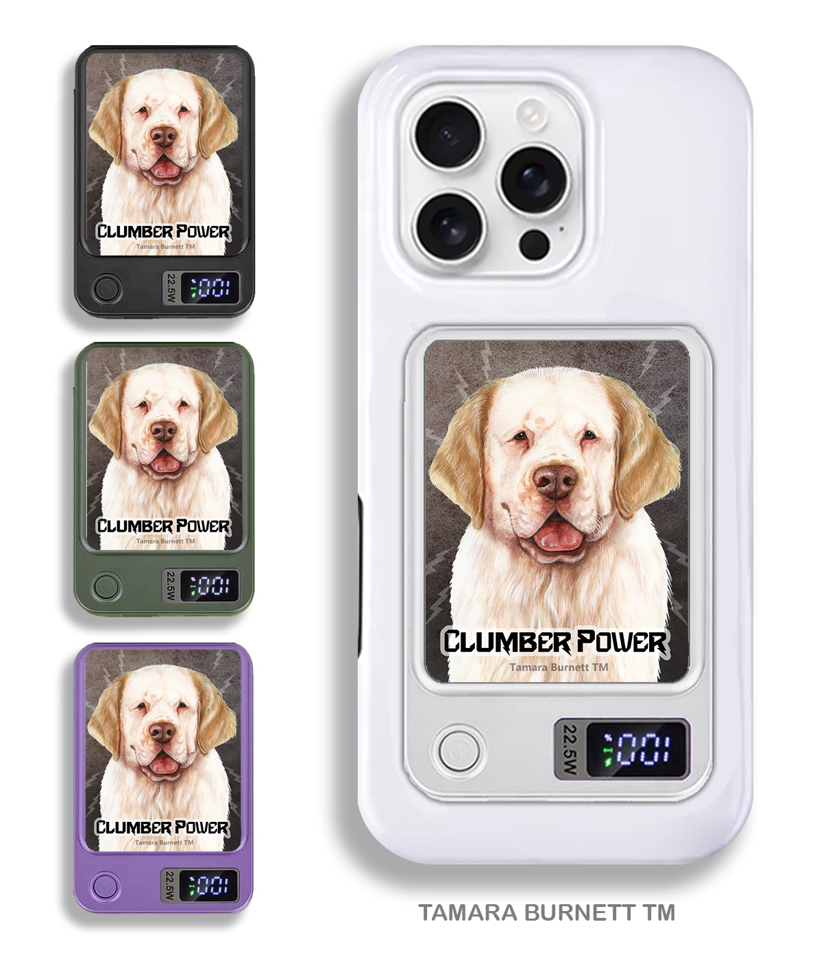 An image of product 33746 - Clumber Spaniel Lemon and White - Phone Bank